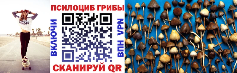 ссылка на мегу зеркало  Шебекино  Галлюциногенные грибы Cubensis 